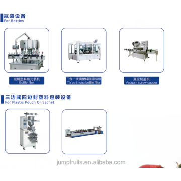 Stand Up Pouch Filling and Sealing Machine